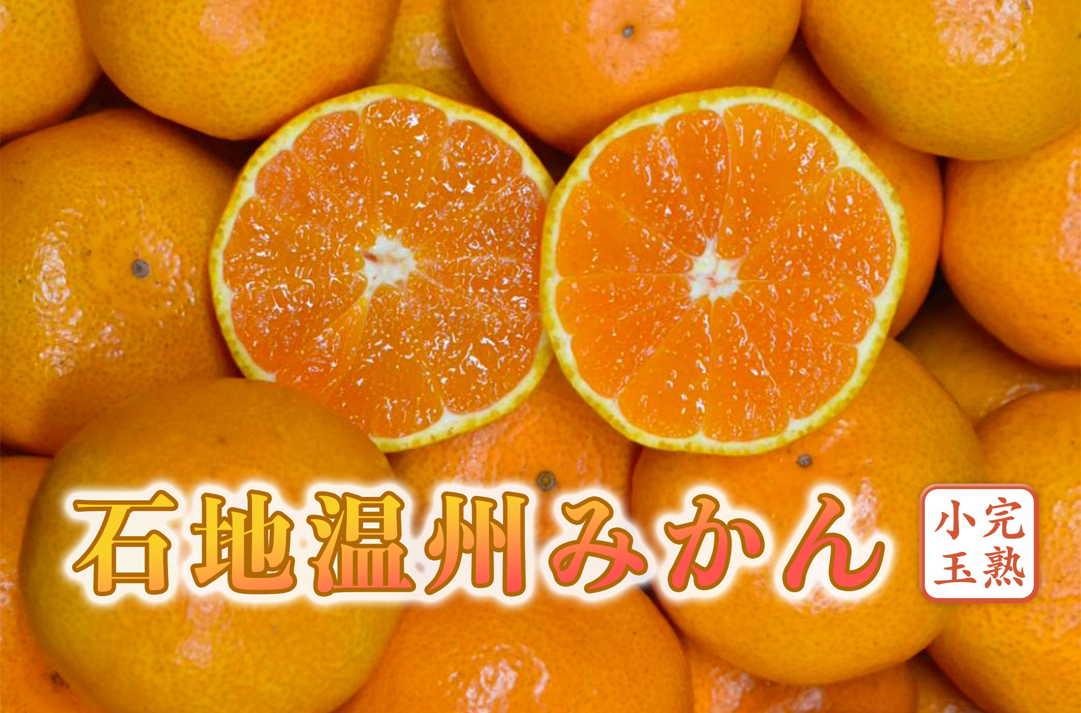 石地温州みかん 温州みかん・石地温州| 種・苗・ガーデニング用品の【タキイネット通販】