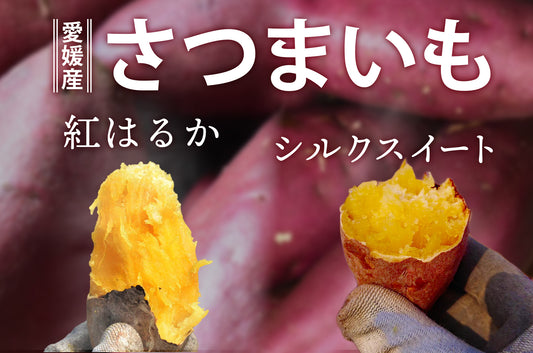 【新発売】紅はるか&シルクスイート
