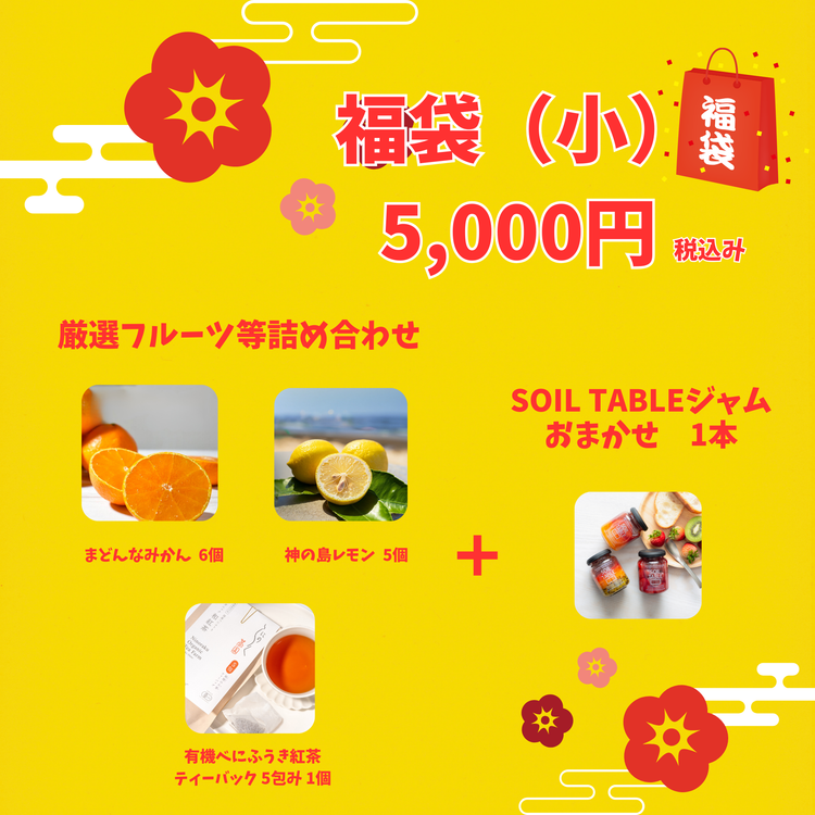 新春!2026 SOIL TABLEが厳選!愛媛県産フルーツ福袋