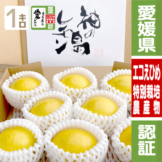 愛媛県大三島産『神の島レモン』【農薬5割減(特別栽培)】1kg 瀬戸内レモン イエローレモン