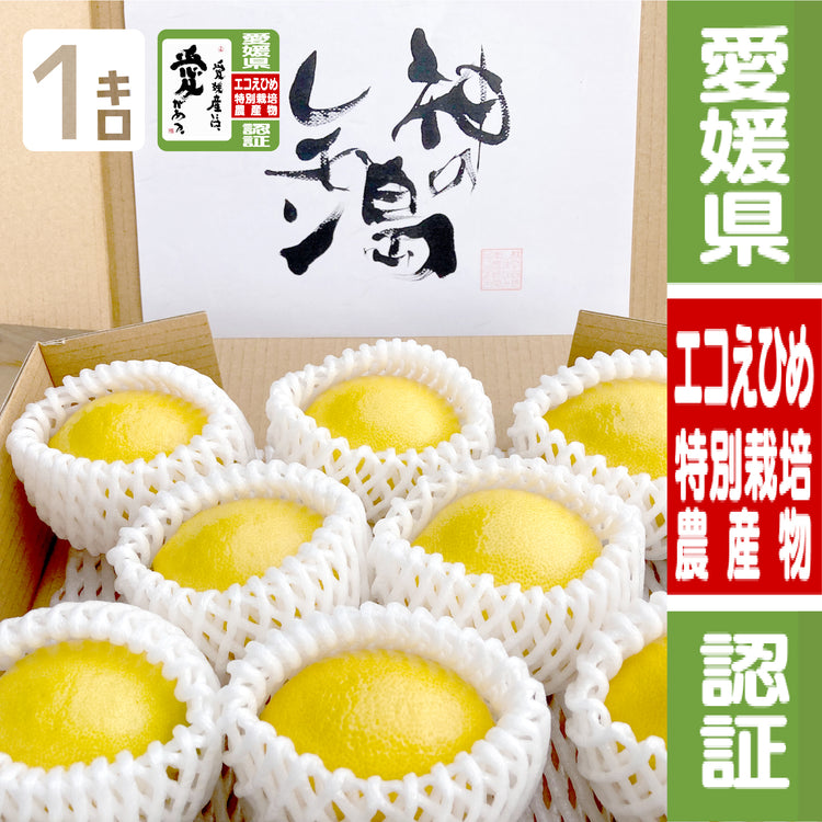 愛媛県大三島産『神の島レモン』【農薬5割減(特別栽培)】1kg 瀬戸内レモン イエローレモン