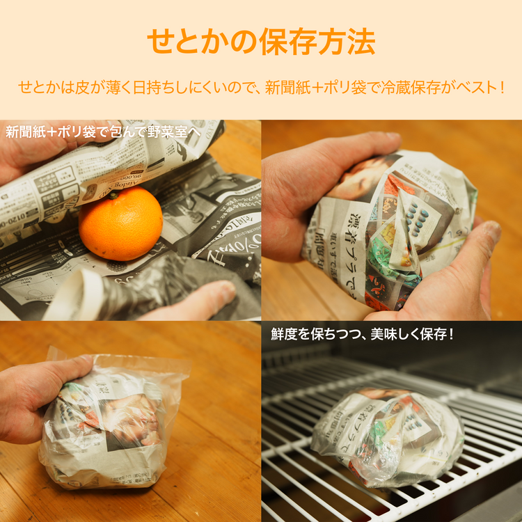 愛媛県産 ハウスせとか 数量限定