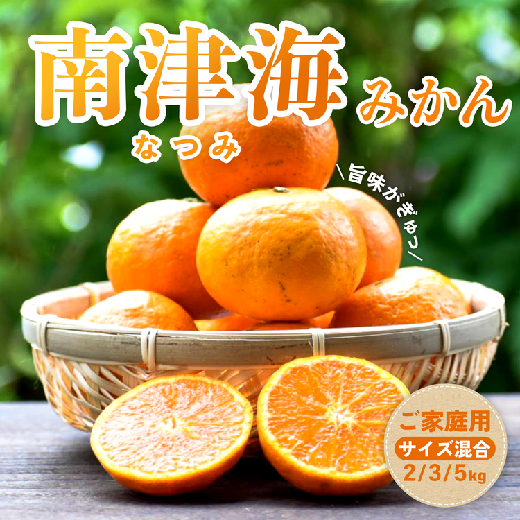 愛媛県産 南津海(なつみ)ご家庭用 みかん