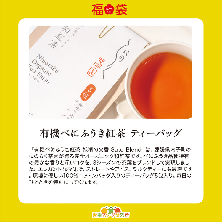 新春!2026 SOIL TABLEが厳選!愛媛県産フルーツ福袋