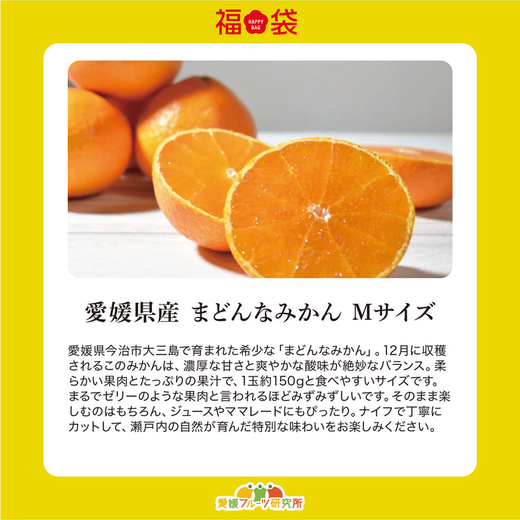 新春!2026 SOIL TABLEが厳選!愛媛県産フルーツ福袋