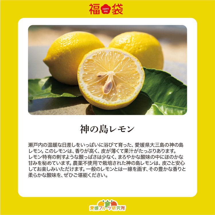 新春!2026 SOIL TABLEが厳選!愛媛県産フルーツ福袋