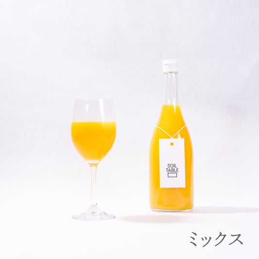 SOIL TABLE 柑橘ジュース ミックス
