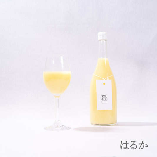 SOIL TABLE 柑橘ジュース はるか