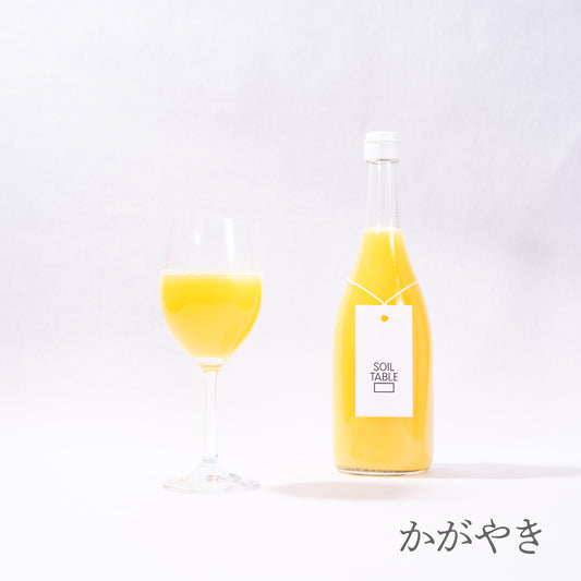 SOIL TABLE 柑橘ジュース かがやき
