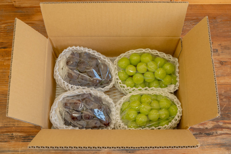 【10箱限定】シャインマスカット&ピオーネ 各2房 愛媛県内子産 2kg【予約商品】