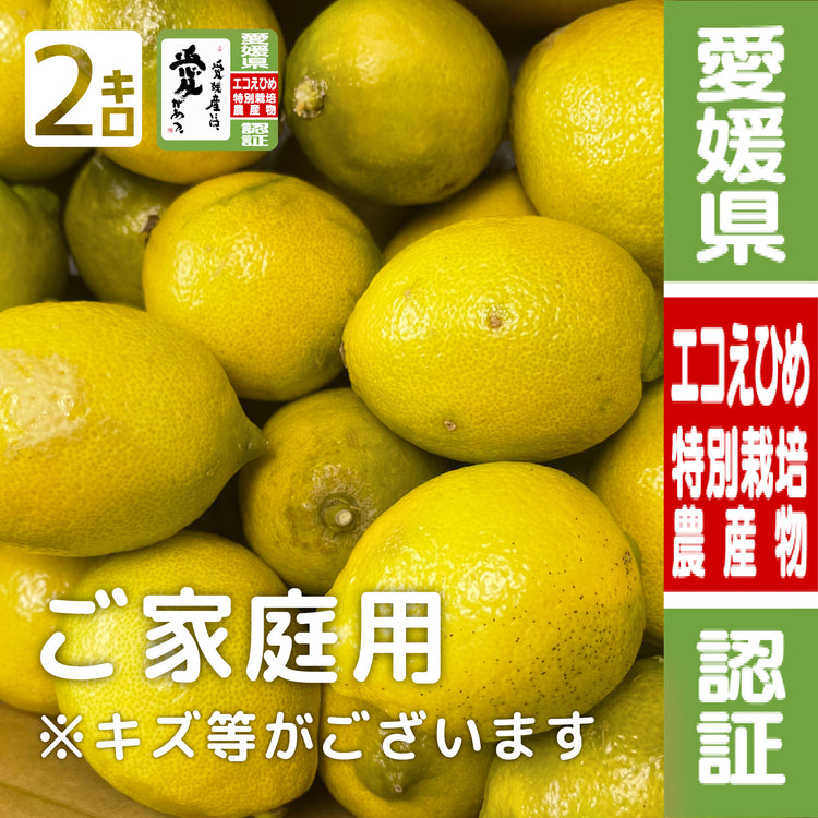 愛媛県大三島産『神の島レモン』【農薬5割減(特別栽培)】 2kg (訳あり・家庭用) 瀬戸内レモン イエローレモン
