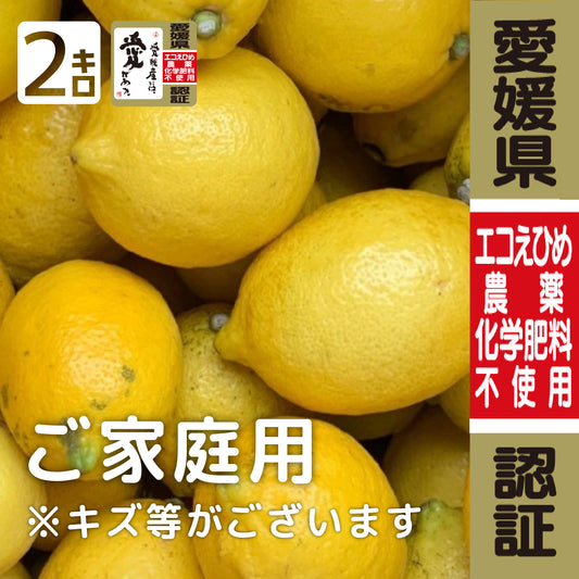 愛媛県大三島産『神の島レモン』【農薬不使用】 2kg (訳あり・家庭用) 瀬戸内レモン イエローレモン