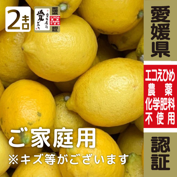 愛媛県大三島産『神の島レモン』【農薬不使用】 2kg (訳あり・家庭用) 瀬戸内レモン イエローレモン