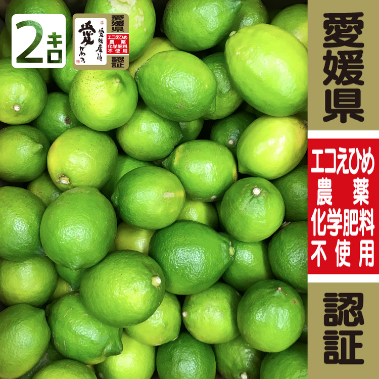今季初! グリーンレモン2kg 訳あり・家庭用【農薬不使用】愛媛県大三島産 瀬戸内レモン