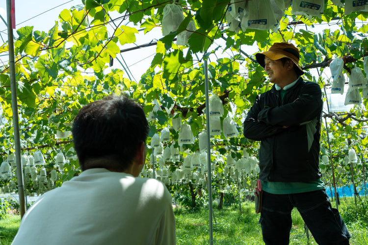 SOIL TABLE ぶどうコンポート