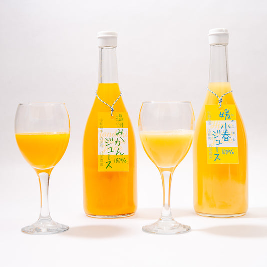 SOIL TABLE Premium 媛小春&温州みかんジュース 送料込み