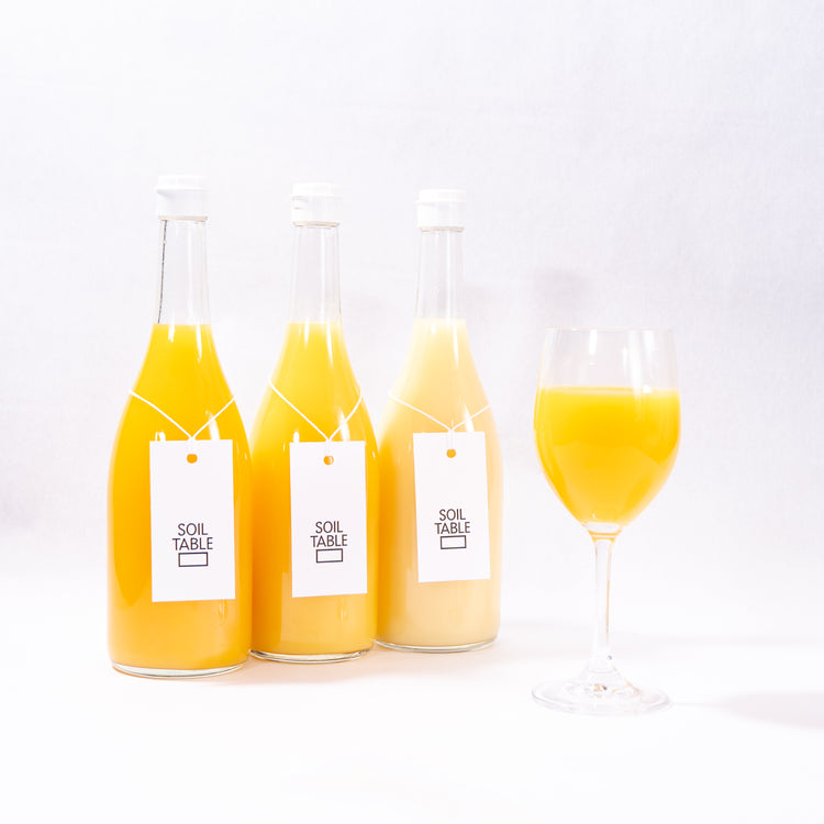 SOIL TABLE 柑橘ジュース 3本セット ミックス&かがやき&はるか