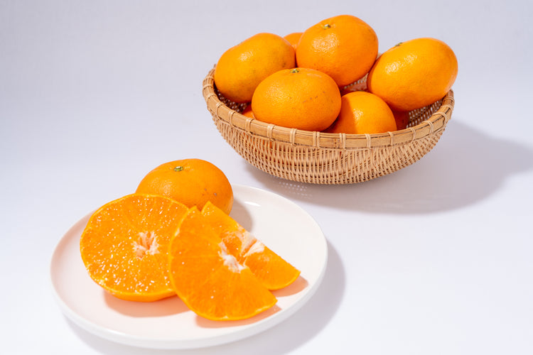 SOIL TABLE 甘平ジャム