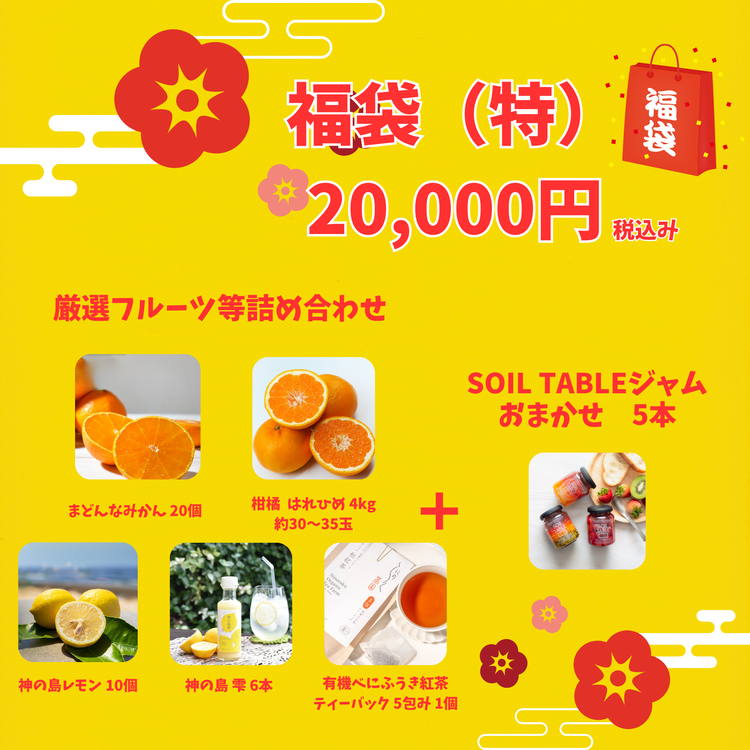 新春!2026 SOIL TABLEが厳選!愛媛県産フルーツ福袋