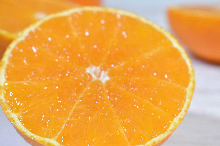 【予約販売】愛媛県産 まどんなみかん