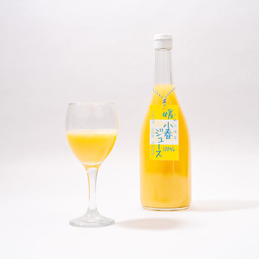 SOIL TABLE Premium 媛小春&温州みかんジュース 送料込み