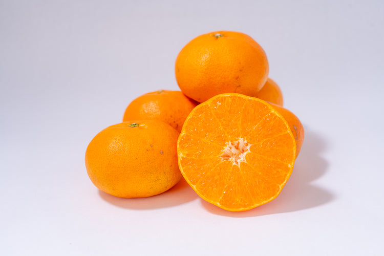 SOIL TABLE 甘平ジャム