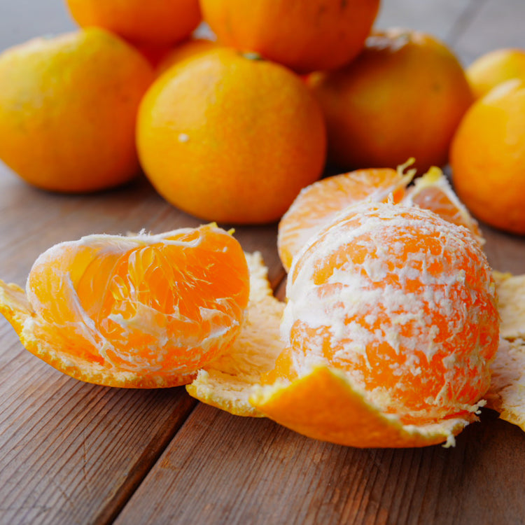 【数量限定】ゆら早生みかん(S〜Mサイズ)家庭用