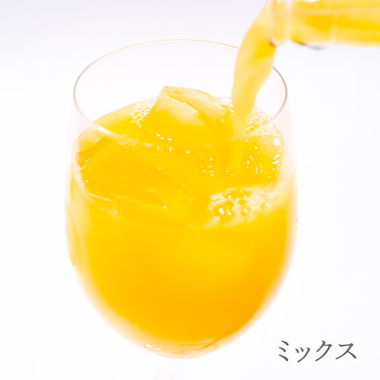 SOIL TABLE 柑橘ジュース ミックス