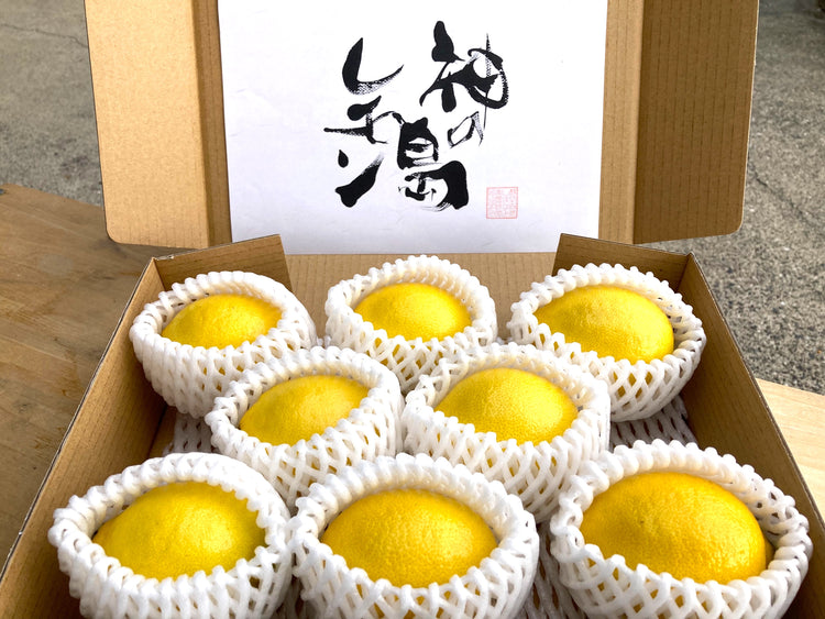 愛媛県大三島産『神の島レモン』【農薬5割減(特別栽培)】1kg 瀬戸内レモン イエローレモン