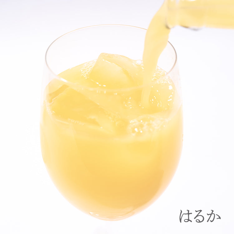 SOIL TABLE 柑橘ジュース 3本セット ミックス&かがやき&はるか