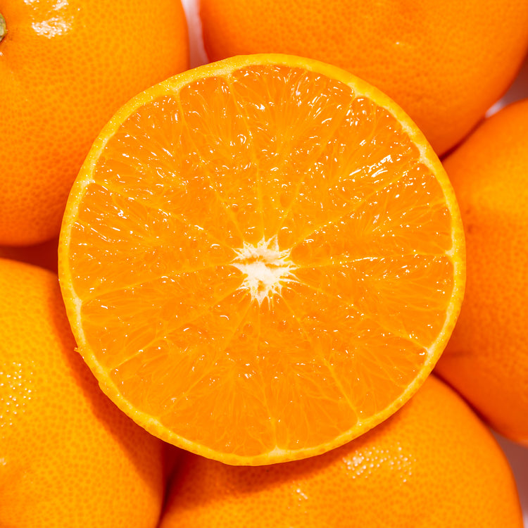 愛媛県産 ハウスせとか 贈答用 2Lサイズ (12玉入り)