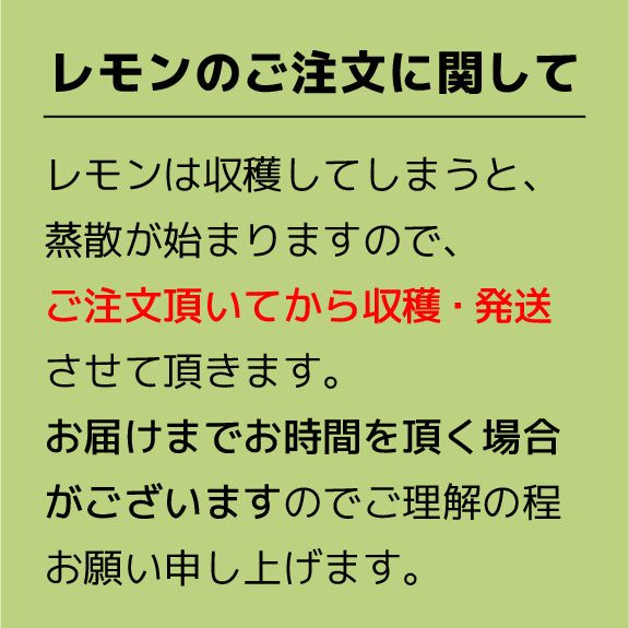 今季初! グリーンレモン2kg 訳あり・家庭用【農薬不使用】愛媛県大三島産 瀬戸内レモン