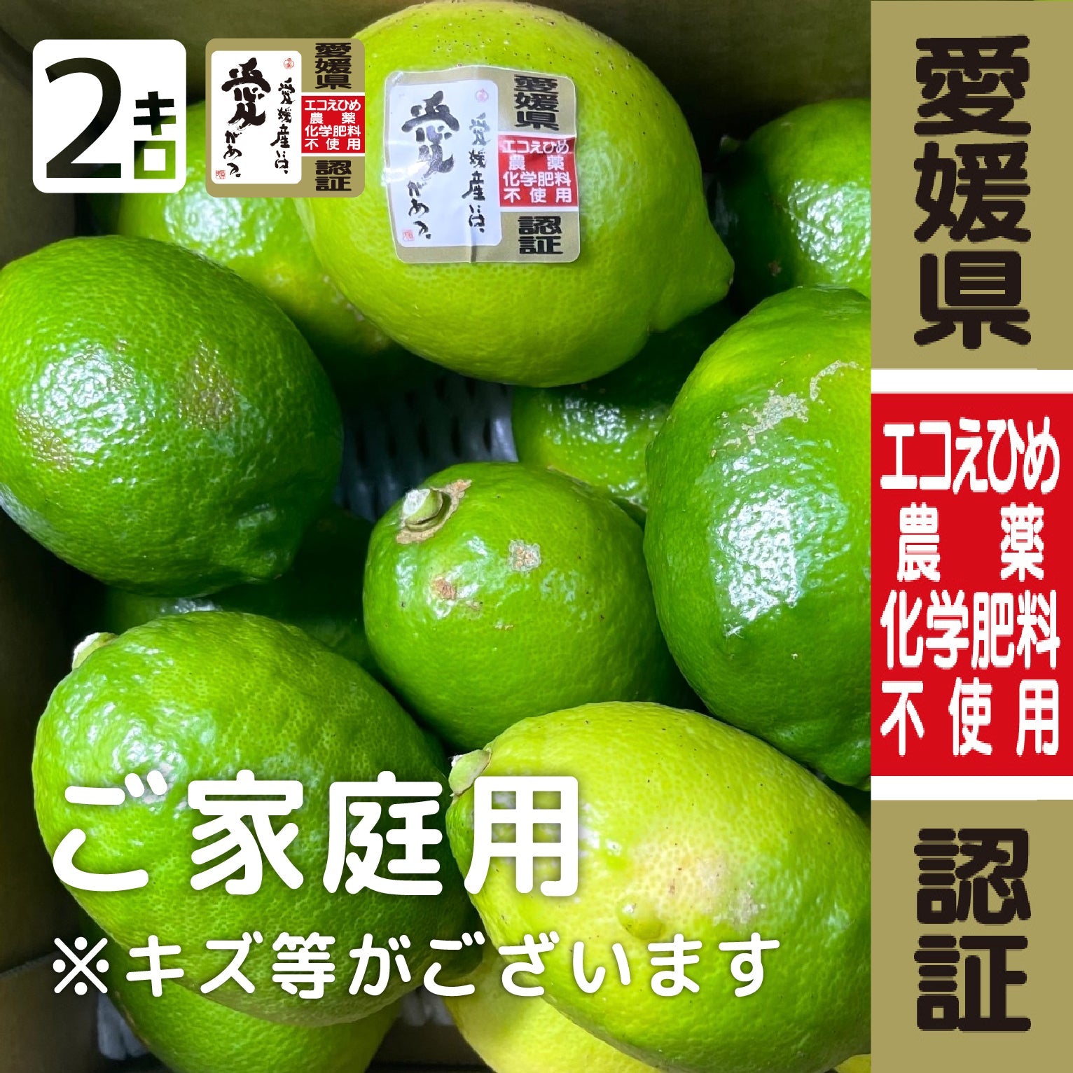 愛媛県産 農家直送 新鮮 レモン 1.4キロ - 果物