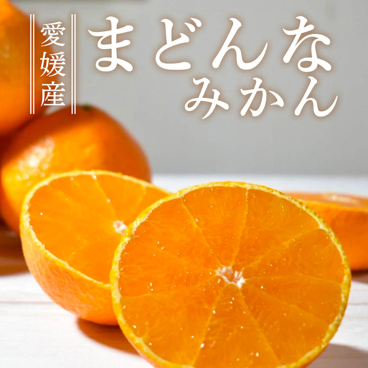 【予約販売】愛媛県産 まどんなみかん