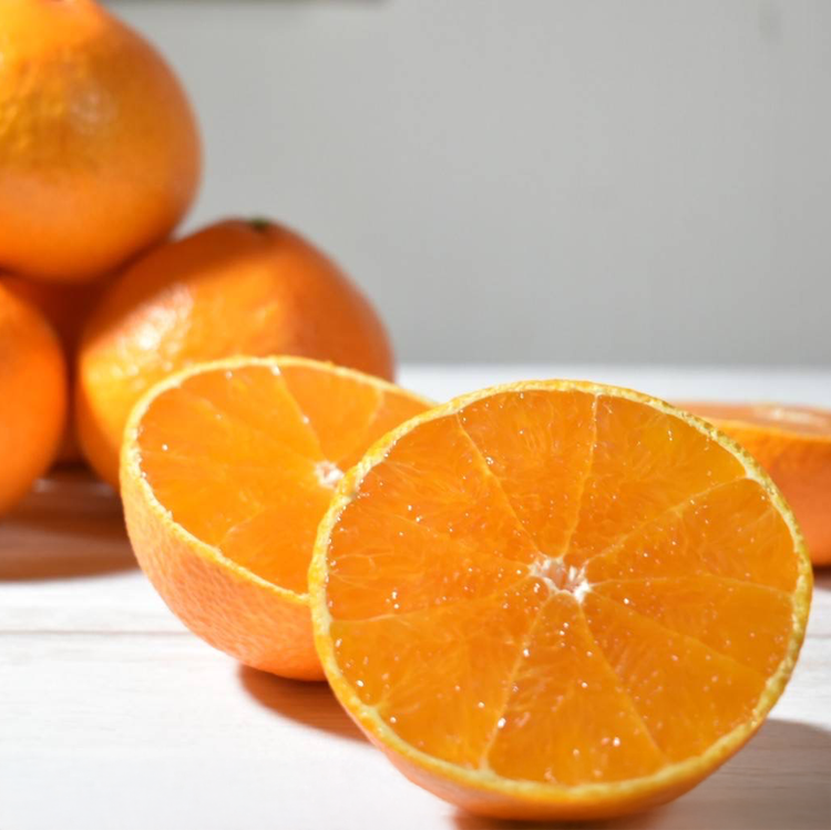 SOIL TABLE まどんなジャム