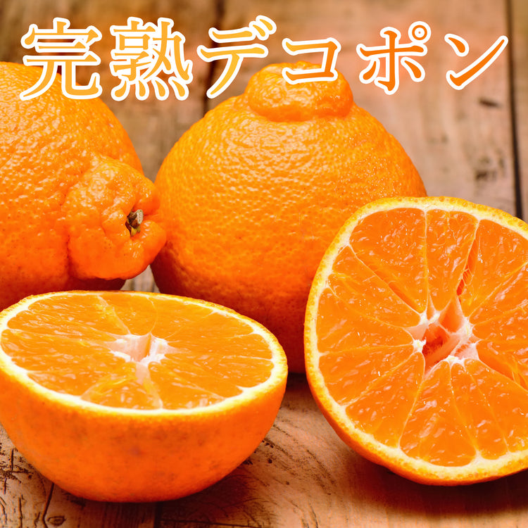 完熟デコポン (不知火/しらぬい) 3kg 愛媛県産 みかん