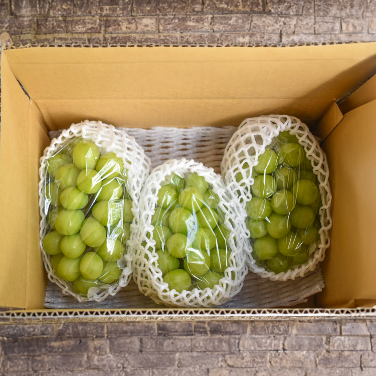 【数量限定】シャインマスカット 愛媛県内子産 2kg【予約商品】