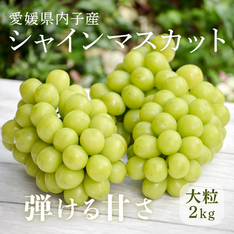 【数量限定】シャインマスカット 愛媛県内子産 2kg【予約商品】