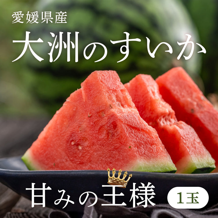 愛媛県大洲市産のすいか 【40玉数量限定】※6月17日以降 随時配送