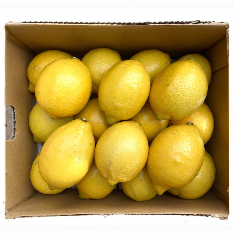 愛媛県大三島産『神の島レモン』【農薬不使用】 2kg (訳あり・家庭用) 瀬戸内レモン イエローレモン