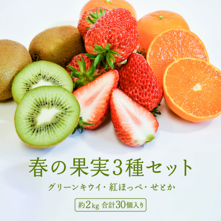 【期間限定】春の果実3種セット(グリーンキウイ,紅ほっぺ,せとか)