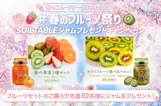 【キャンペーン】#春のフルーツ祭り - SOILTABLEジャムプレゼントキャンペーン