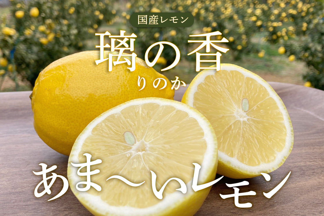 【新発売】レモン　璃の香（りのか）