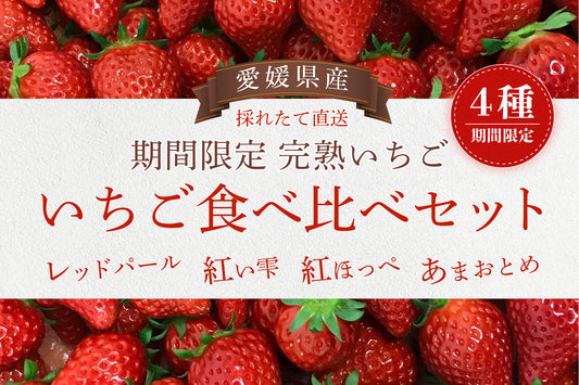 【期間限定】愛媛県生まれの完熟いちごの食べ比べセット！