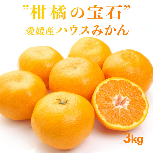 柑橘の宝石 愛媛県産ハウスみかん 3kg(みきゃん箱入り）7月25日から随時発送