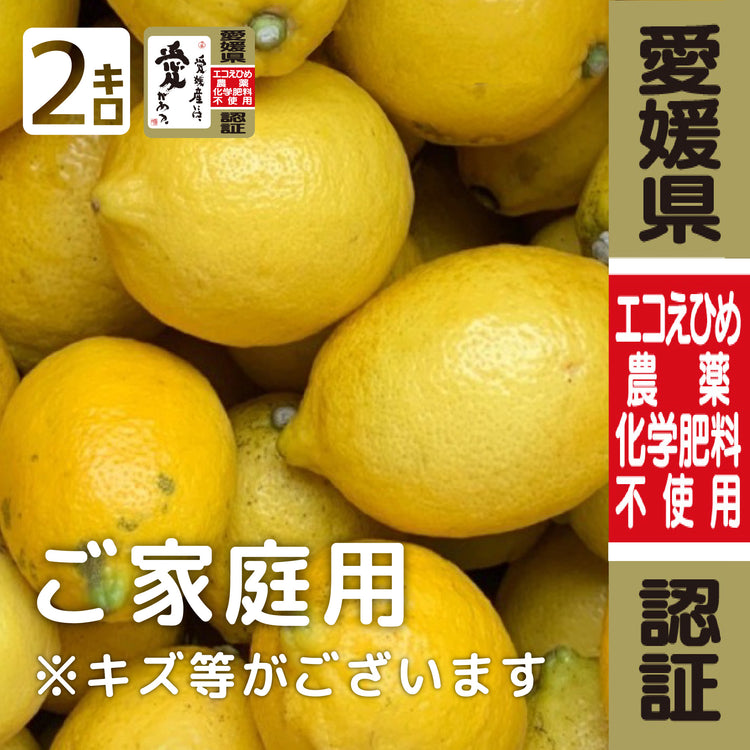限定♪広島産 農薬も肥料も与えず自然に育った大きなまん丸レモン８個 ...