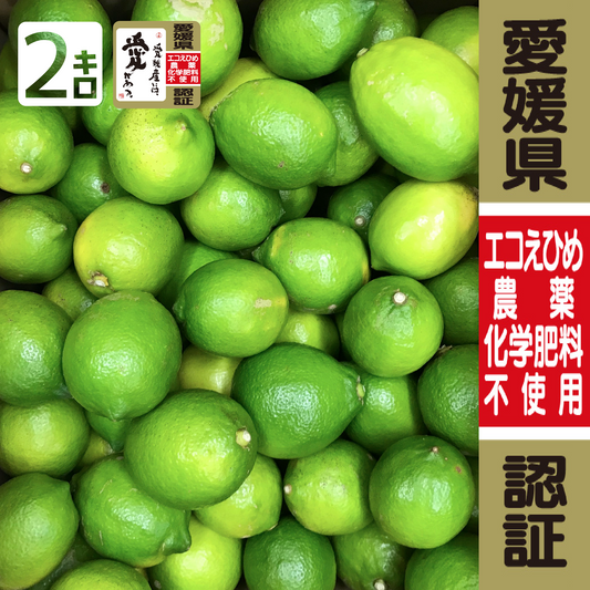 今季初! グリーンレモン2kg 訳あり・家庭用【農薬不使用】愛媛県大三島産  瀬戸内レモン