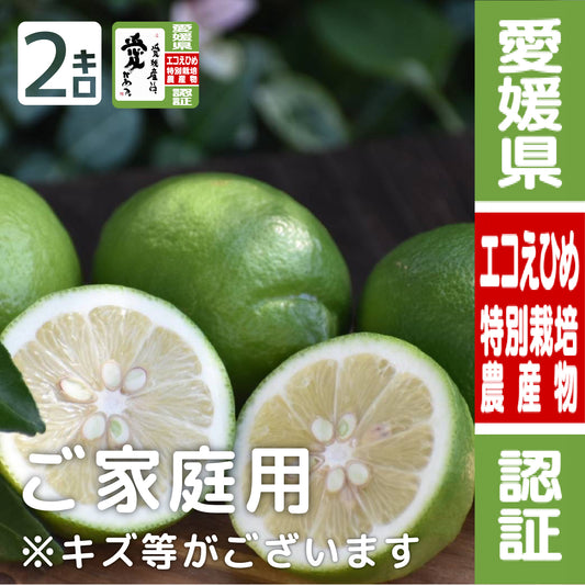 今季初! グリーンレモン2kg 訳あり・家庭用【農薬5割減(特別栽培)】愛媛県大三島産  瀬戸内レモン