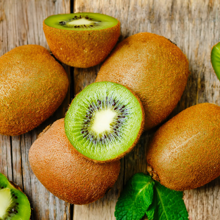 【予約販売】愛媛県産 菊地農園 減農薬栽培キウイフルーツ  2kg　数量限定