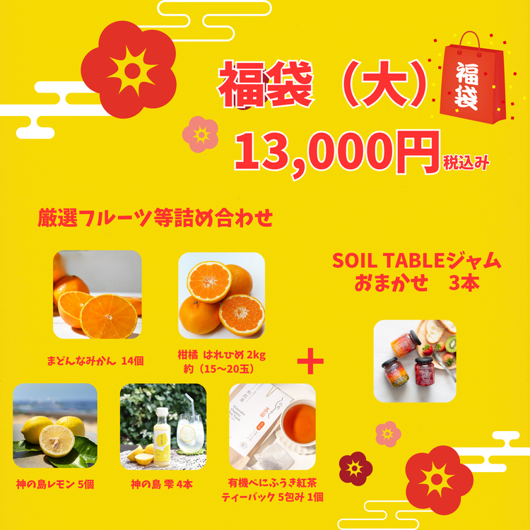 新春！2026 SOIL TABLEが厳選！愛媛県産フルーツ福袋